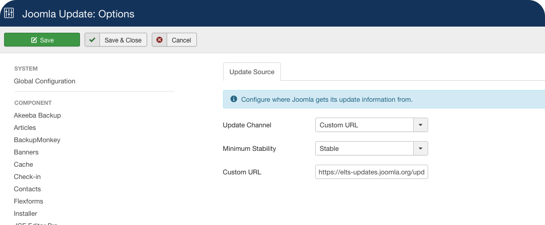 Screenshot of Joomla Updater Component: Options
